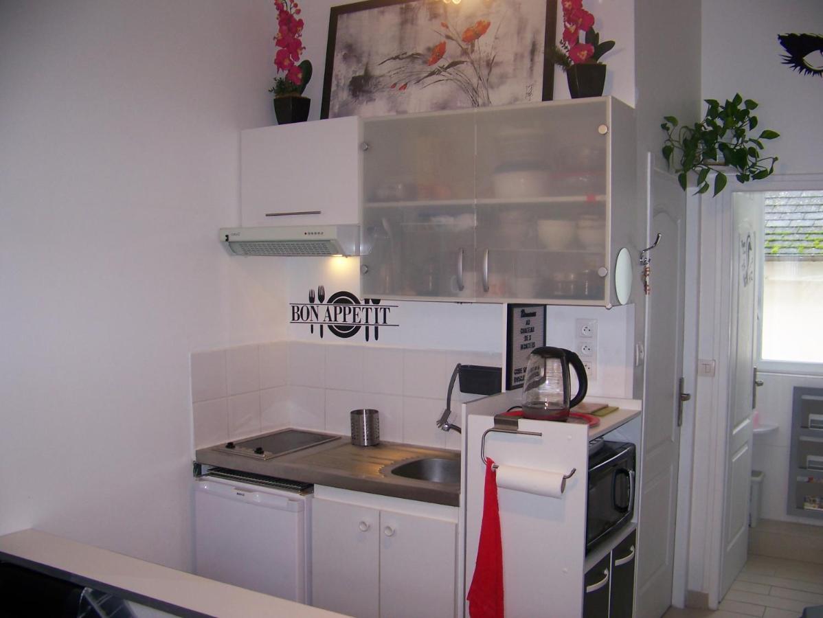 Charmant Studio Au Calme Tout Confort Dans Chateau Neo Gothique Proche Zenith Comet Orleans Parking Voiture Gratuit Wifi Haut Debit Rue Des Montees Exterior photo